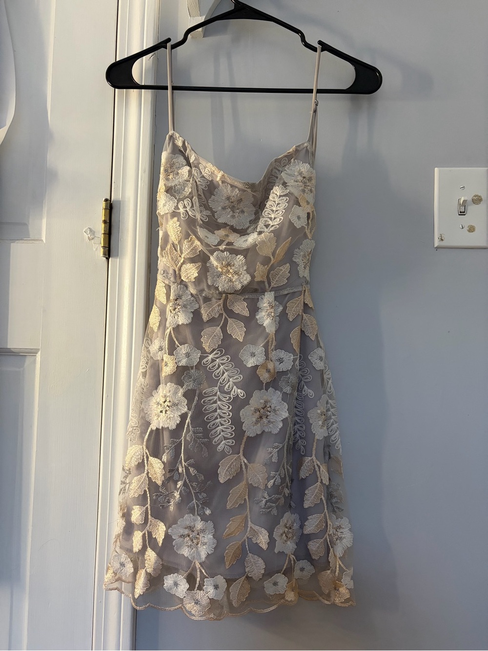 Lucy and the Sky Floral lace Mini Dress
